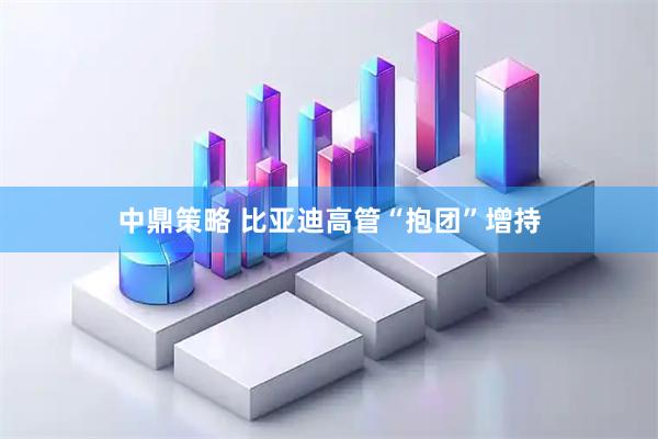 中鼎策略 比亚迪高管“抱团”增持