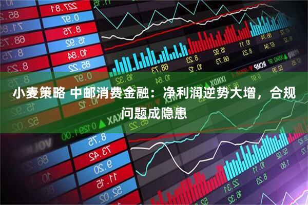 小麦策略 中邮消费金融：净利润逆势大增，合规问题成隐患