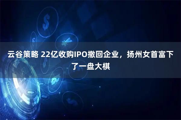 云谷策略 22亿收购IPO撤回企业，扬州女首富下了一盘大棋
