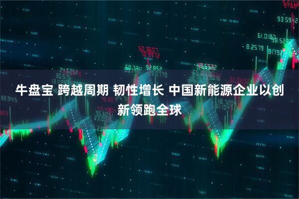 牛盘宝 跨越周期 韧性增长 中国新能源企业以创新领跑全球