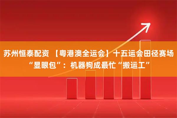 苏州恒泰配资 【粤港澳全运会】十五运会田径赛场“显眼包”：机器狗成最忙“搬运工”