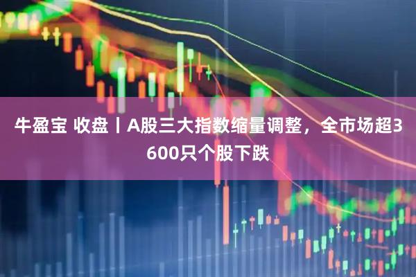 牛盈宝 收盘丨A股三大指数缩量调整,全市场超3600只个股下跌
