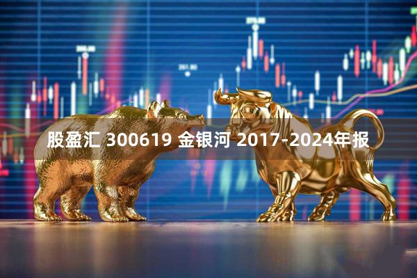 股盈汇 300619 金银河 2017-2024年报