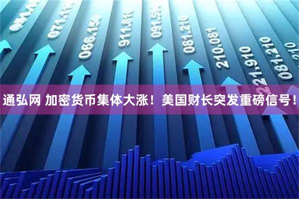 通弘网 加密货币集体大涨！美国财长突发重磅信号！