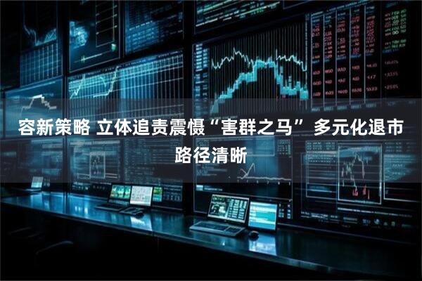 容新策略 立体追责震慑“害群之马” 多元化退市路径清晰