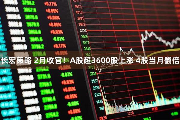 长宏策略 2月收官！A股超3600股上涨 4股当月翻倍