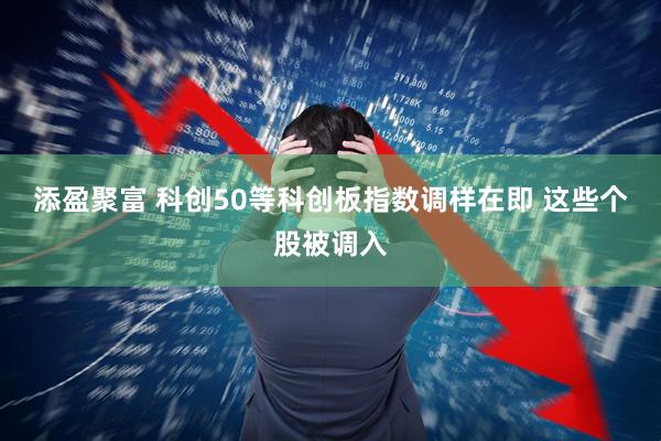 添盈聚富 科创50等科创板指数调样在即 这些个股被调入