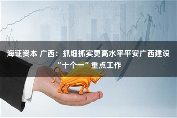 海证资本 广西：抓细抓实更高水平平安广西建设“十个一”重点工作
